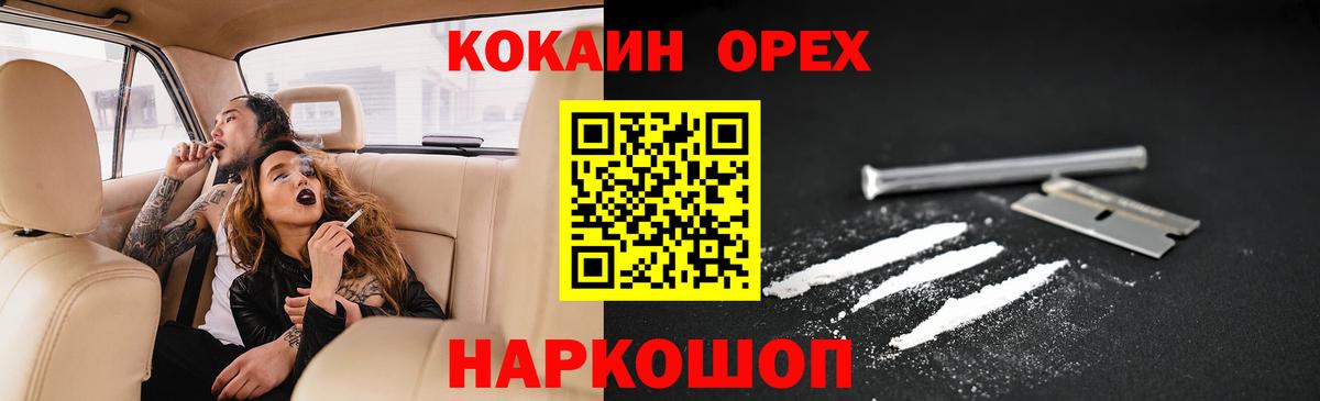 ГАШ Мичуринск