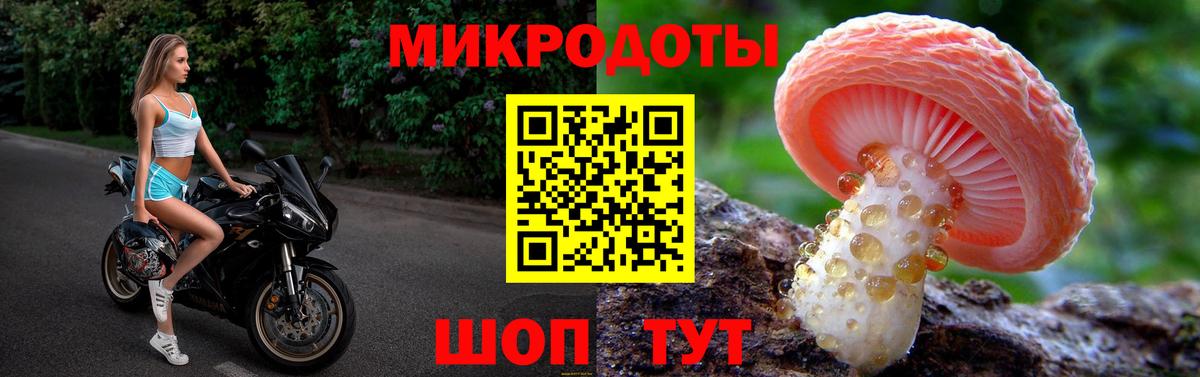 Галлюциногенные грибы Psilocybine cubensis  Вход с VPN  хочу   Мичуринск 